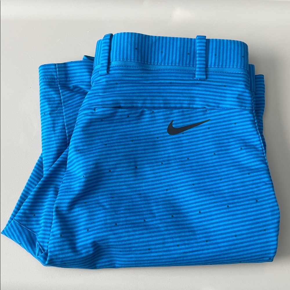 Nike Flex Golf/Casual Shorts Blue Stripe Size 30